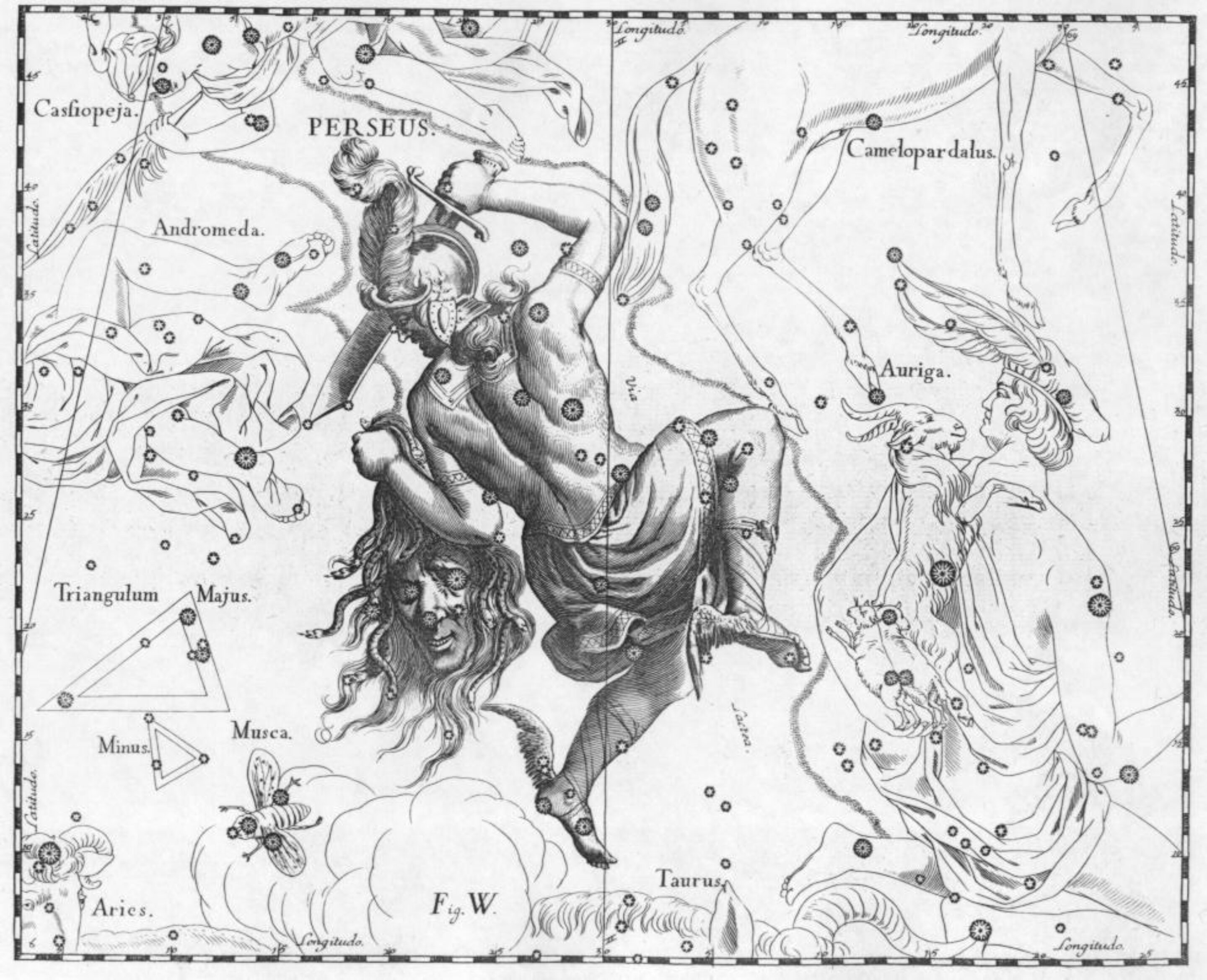 Perseo disegno