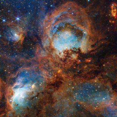 Webb ST Sc I cats paw